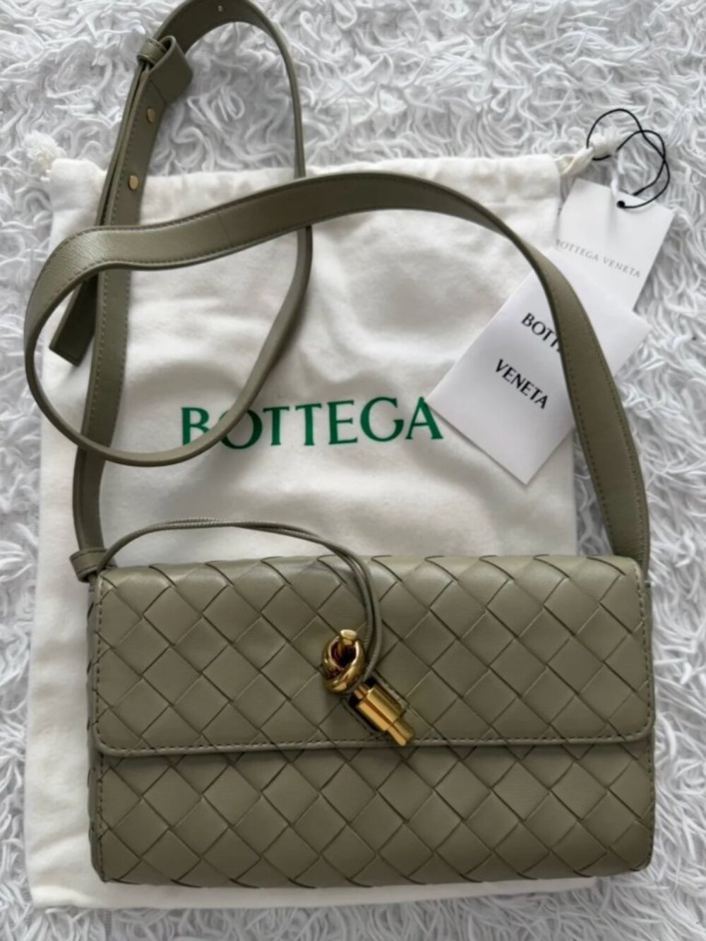 Bottega Veneta Andiamo shoulder bag Green